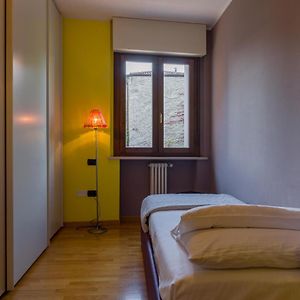 Le Volpi In Citta